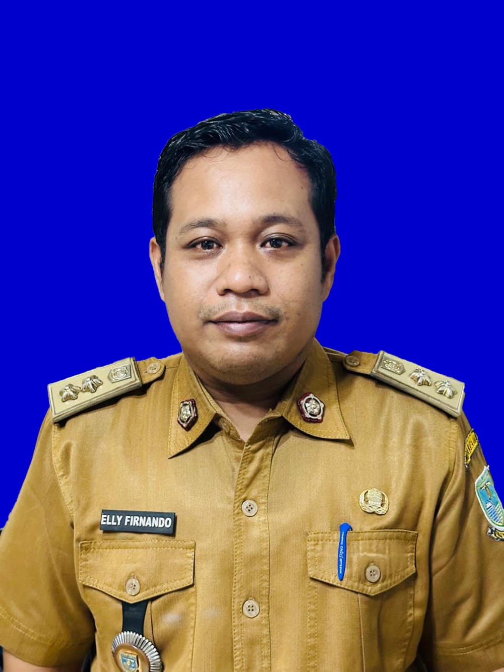 Inovasi Web RT 39 Kelurahan Jelutung Dapat Respons Positif dari Lurah